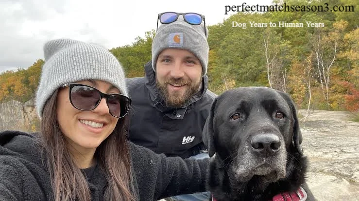Dog Years to Human Years: The Truth Owners Must Know
