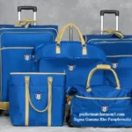 Sigma Gamma Rho Paraphernalia: Amazing Finds, Big Risks