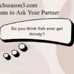Fun Questions to Ask Your Partner: Ditch Boring Chats in 2026